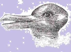 Description: G:\2017okt\photo\20171022\Duck-Rabbit_illusionaa.jpg