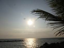 Description: G:\2018april\photo\20180329\P1230433a.JPG