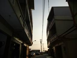 Description: G:\2018april\photo\20180329\P1230435a.JPG