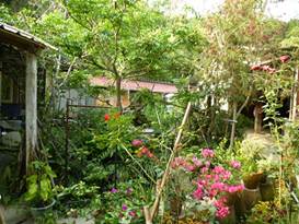 Description: C:\Users\taiwannet\AppData\Local\Microsoft\Windows\INetCache\Content.Word\P1240176.jpg