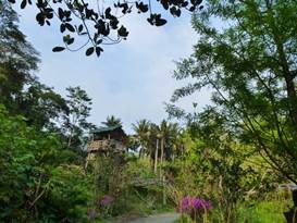 Description: C:\Users\taiwannet\AppData\Local\Microsoft\Windows\INetCache\Content.Word\P1240204.jpg