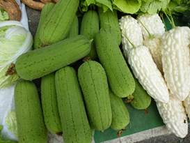 Description: G:\2018aprilB\photo\20180424\P1240329a.JPG