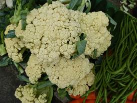 Description: G:\2018aprilB\photo\20180424\P1240332a.JPG