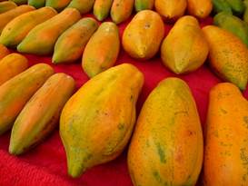 Description: G:\2018aprilB\photo\20180424\P1240326a.JPG