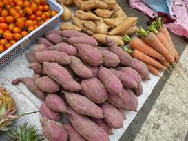 Description: G:\2018aprilB\photo\20180424\P1240335a.JPG