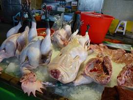 Description: C:\Users\taiwannet\AppData\Local\Microsoft\Windows\INetCache\Content.Word\P1240338.jpg