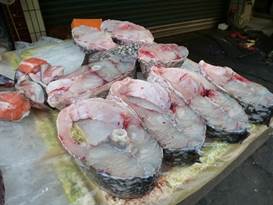 Description: G:\2018aprilB\photo\20180424\P1240320a.JPG