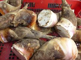 Description: G:\2018aprilB\photo\20180424\P1240315a.JPG