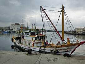 Description: G:\2018aprilB\photo\20180426\P1240401a.JPG