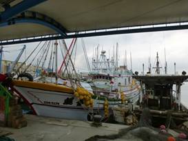 Description: G:\2018aprilB\photo\20180426\P1240403a.JPG