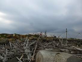 Description: G:\2018aprilB\photo\20180426\P1240433a.JPG