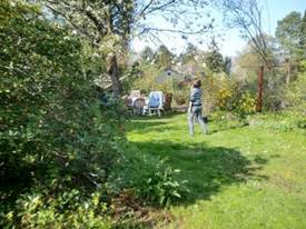 Description: G:\2018aprilB\photo\20180428\4a.jpg