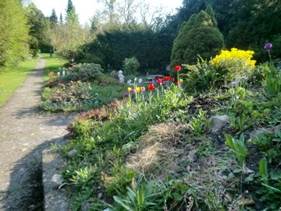 Description: G:\2018aprilB\photo\20180428\5a.jpg