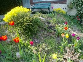 Description: G:\2018aprilB\photo\20180428\9a.jpg