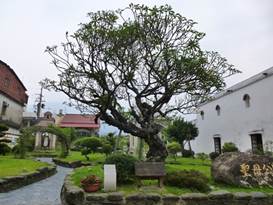 Description: G:\2018aprilB\photo\20180428\萬金\P1240490a.JPG