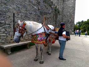 Description: F:\2018okt\photo\20181019e巷道\6a.jpg